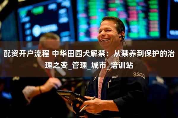 配资开户流程 中华田园犬解禁：从禁养到保护的治理之变_管理_城市_培训站