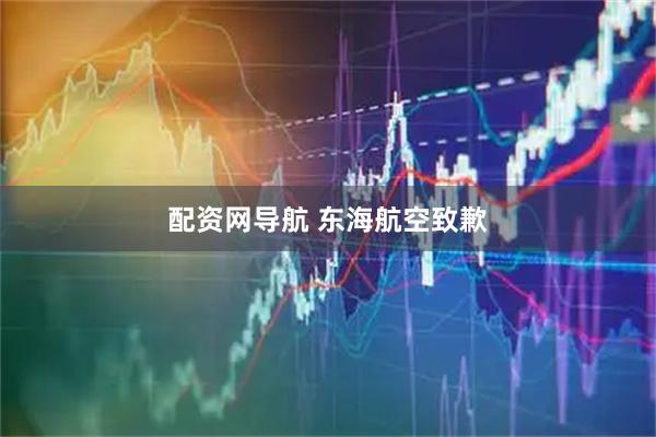 配资网导航 东海航空致歉